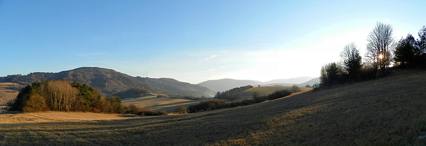 Panoramic View of Rolling Hills and Forests in Winter