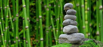 Stacked Zen Stones on Moss with Bamboo Background