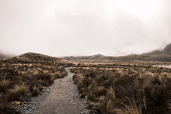 Misty Mountain Trail Through Golden Grassland Landscape