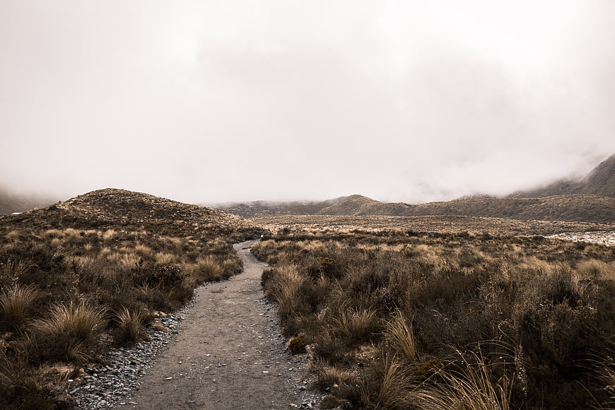 Misty Mountain Trail Through Golden Grassland Landscape