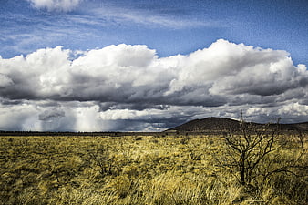 Dramatic Storm Clouds Over Golden Prairie Landscape