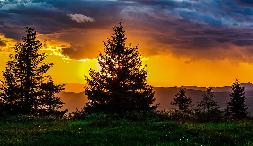 Dramatic sunset over mountain landscape with silhouetted pine trees