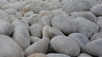 Close-up of smooth gray river stones and pebbles