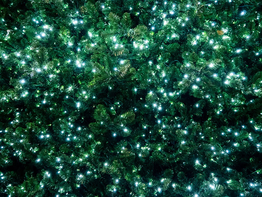 Close-up of Christmas tree with glowing white lights