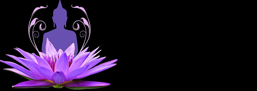 Purple Lotus Flower with Meditating Buddha Silhouette on Black