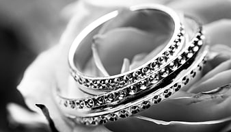 Close-up of diamond rings on a white rose