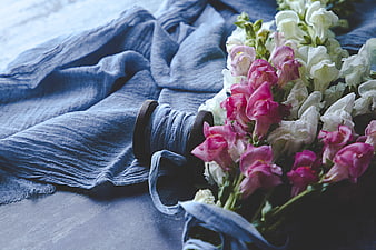 Pink and white snapdragons with blue linen fabric