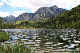 Scenic Mountain Lake with Forest and Rippling Water