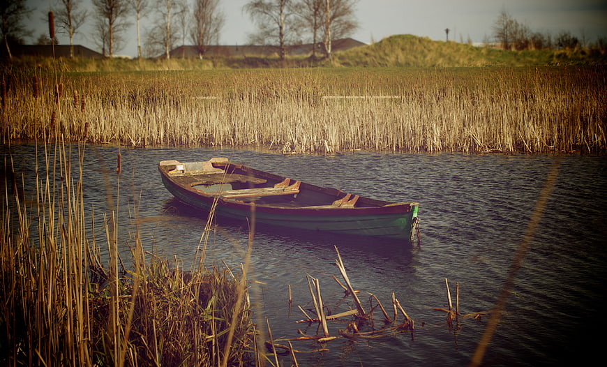 Old wooden boat floating in a calm lake surrounded by reeds