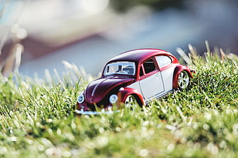 Red and white toy car on green grass