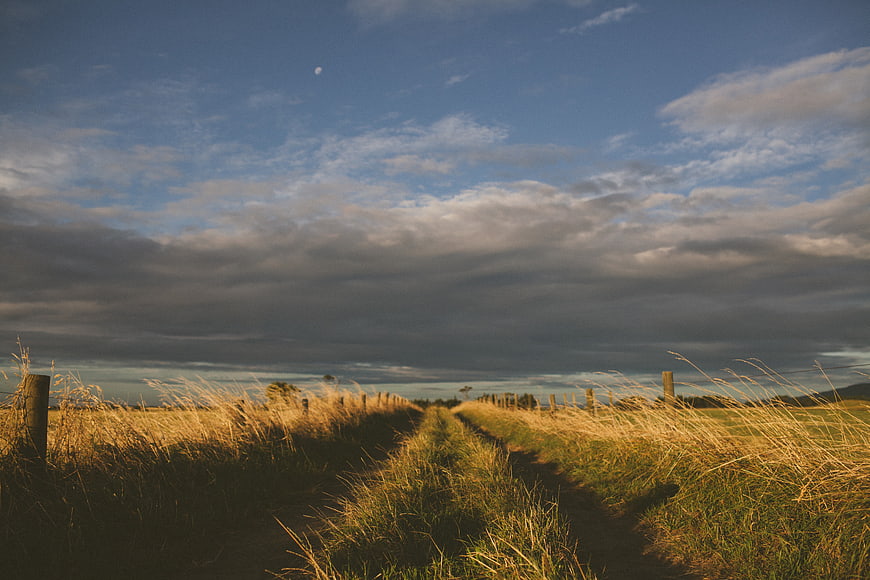 Dirt path through golden grassy fields under dramatic cloudy sky