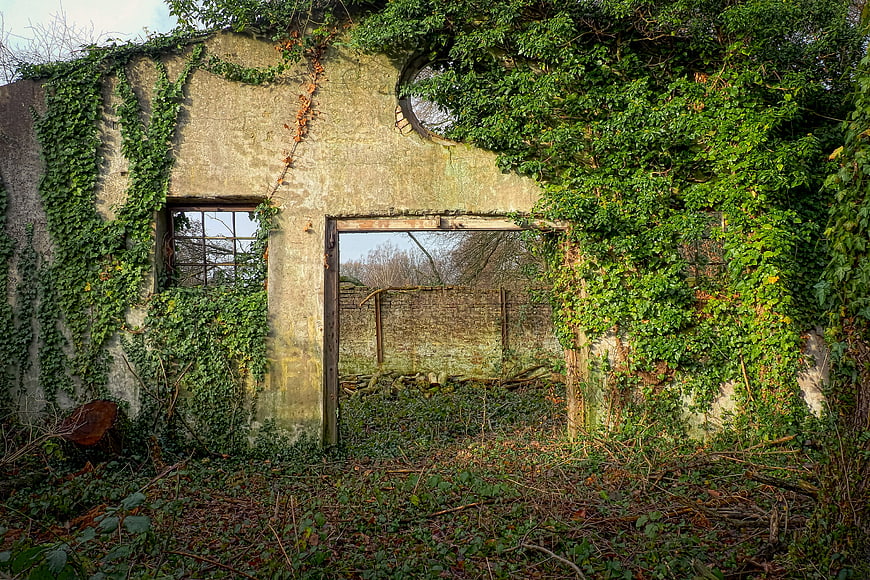 Overgrown Abandoned Ruin with Ivy and Stone Walls