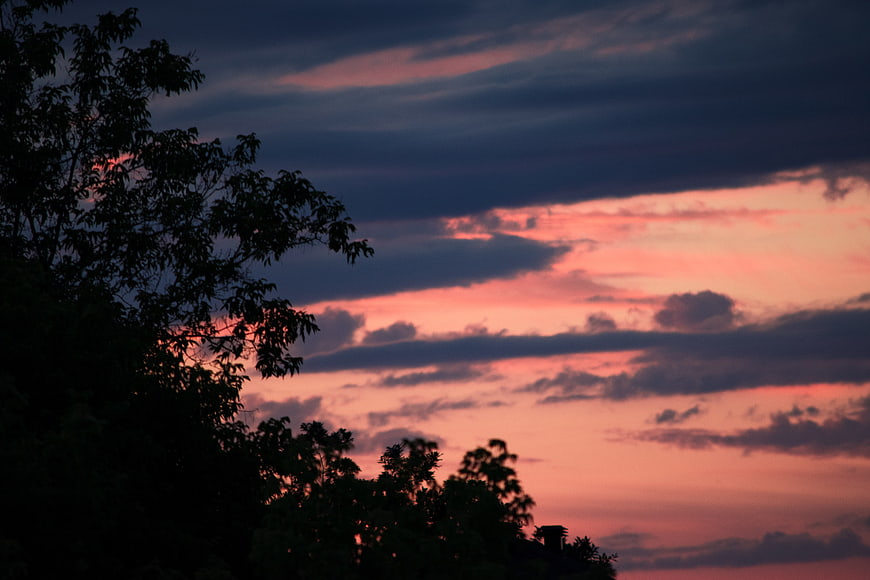 Dramatic Pink and Blue Sunset Sky with Tree Silhouettes