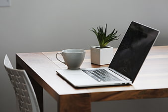 Minimalist Workspace with Laptop, Coffee Cup, and Succulent