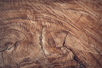 Close-up texture of cracked brown wood grain surface