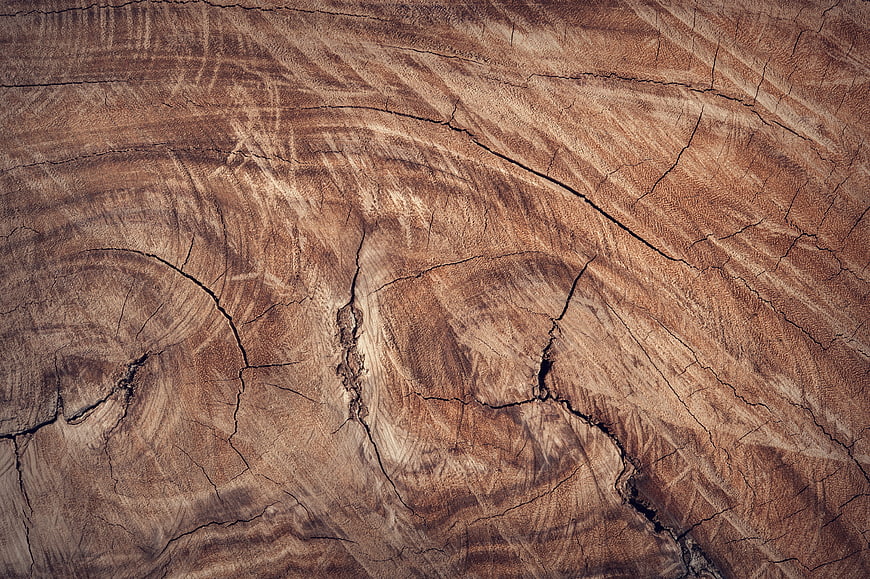 Close-up texture of cracked brown wood grain surface
