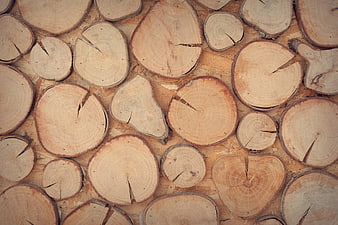 Stacked cut wood logs texture background