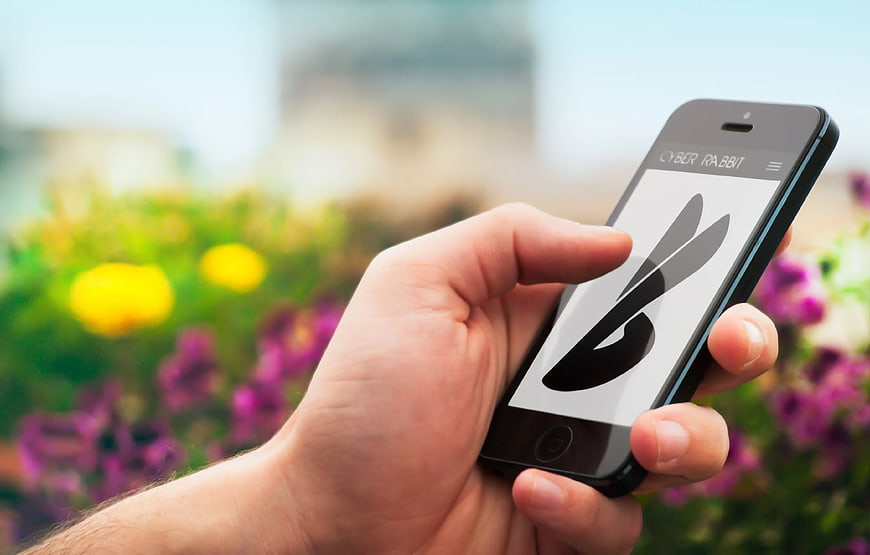Hand holding smartphone with rabbit logo app interface