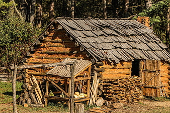Rustic wooden log cabin with shingle roof in forest