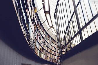 Curved library bookshelves with metal railing and skylight