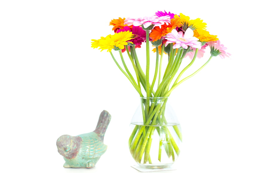 Colorful Gerbera Daisies in Glass Vase with Bird Figurine