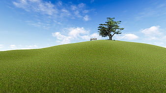 Lone Tree and Bench on Green Hill Under Blue Sky
