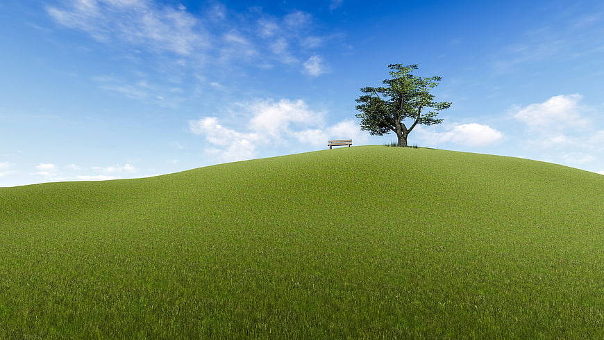 Lone Tree and Bench on Green Hill Under Blue Sky