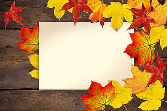 Autumn Maple Leaves Framing Blank Paper on Wooden Background