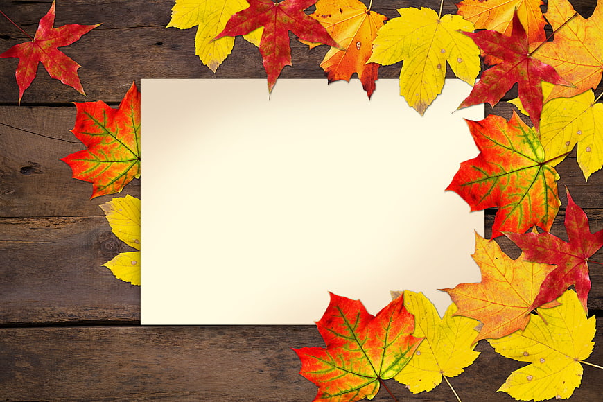 Autumn Maple Leaves Framing Blank Paper on Wooden Background