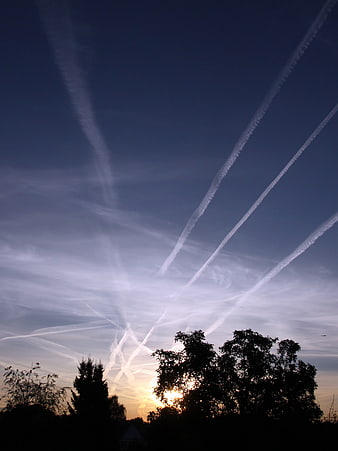 Sunset sky with airplane contrails and tree silhouettes