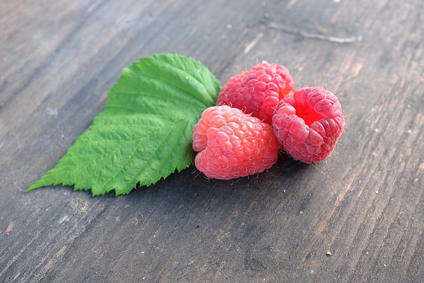 Fresh Raspberries with Green Leaf on Dark Wood