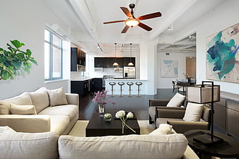 Modern Open Concept Loft Living Room with Kitchen