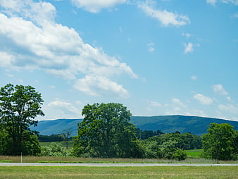 Scenic Summer Landscape with Green Trees and Blue Mountains