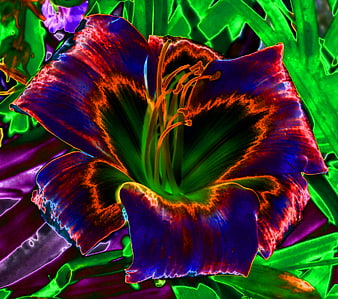 Vibrant Glowing Daylily with Neon Filter Effect