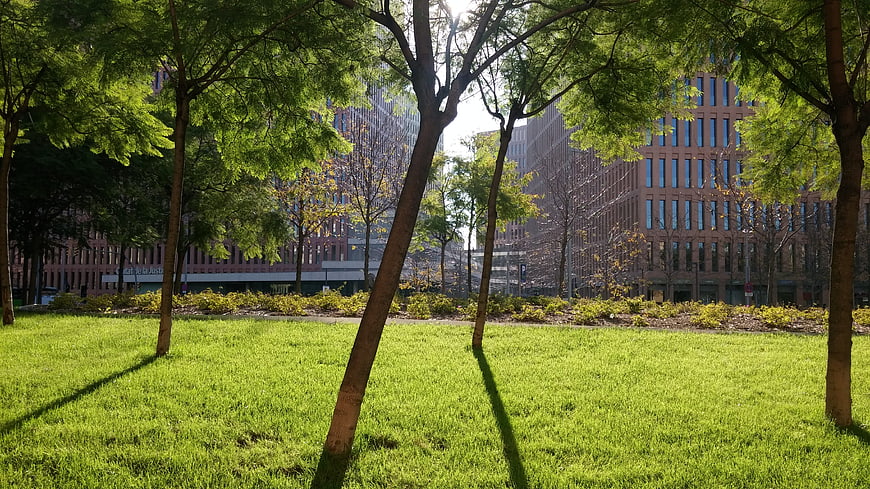 Sunlit urban park with green grass and modern buildings