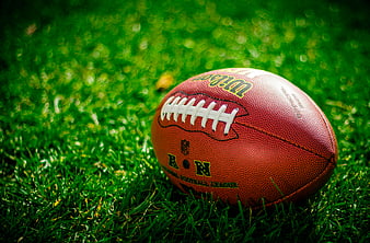 American football on green grass field