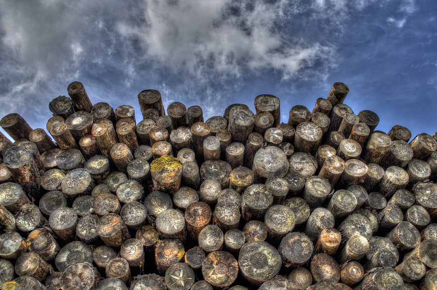 Stack of cut timber logs against dramatic cloudy sky