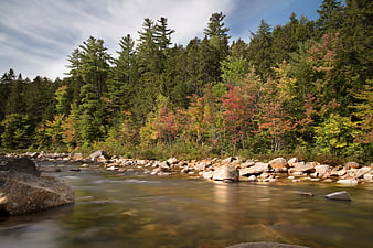 Serene Rocky River Flowing Through Autumn Forest Landscape