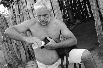 Senior man bottle feeding black lamb in rustic barn
