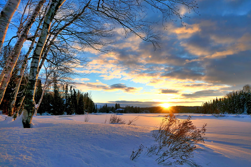 Winter Sunset Landscape With Birch Trees And Snowy Field