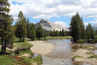 Scenic Yosemite River Valley with Granite Mountain and Pine Trees