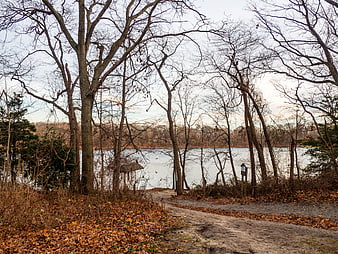 Dirt path leading to lake through bare autumn trees