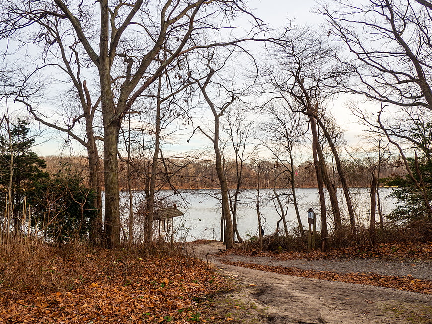 Dirt path leading to lake through bare autumn trees