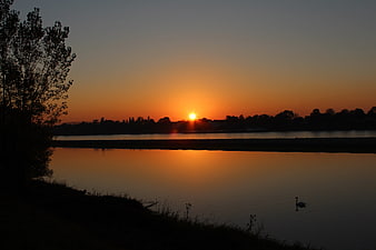 Serene Sunset Over River with Silhouette of Swan and Trees
