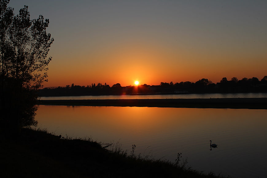 Serene Sunset Over River with Silhouette of Swan and Trees