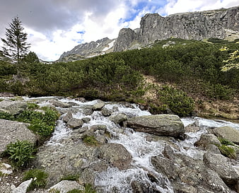 Mountain stream flowing over rocks with forest and peaks