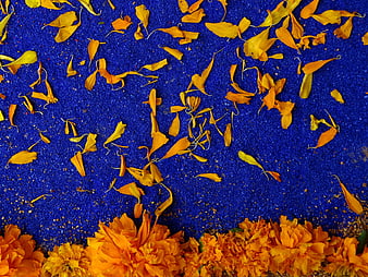 Blue Rangoli Pattern with Orange Marigold Flowers
