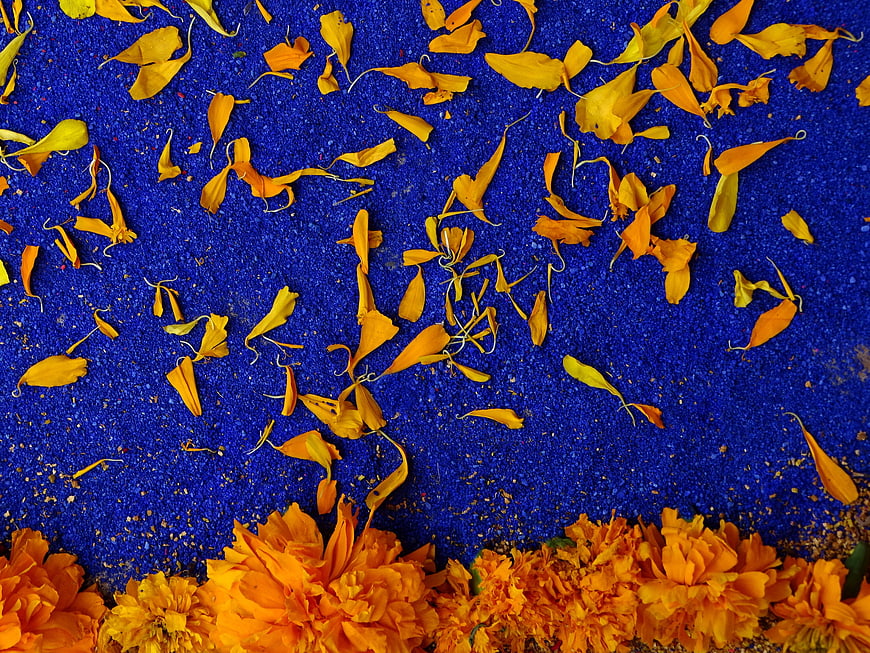 Blue Rangoli Pattern with Orange Marigold Flowers