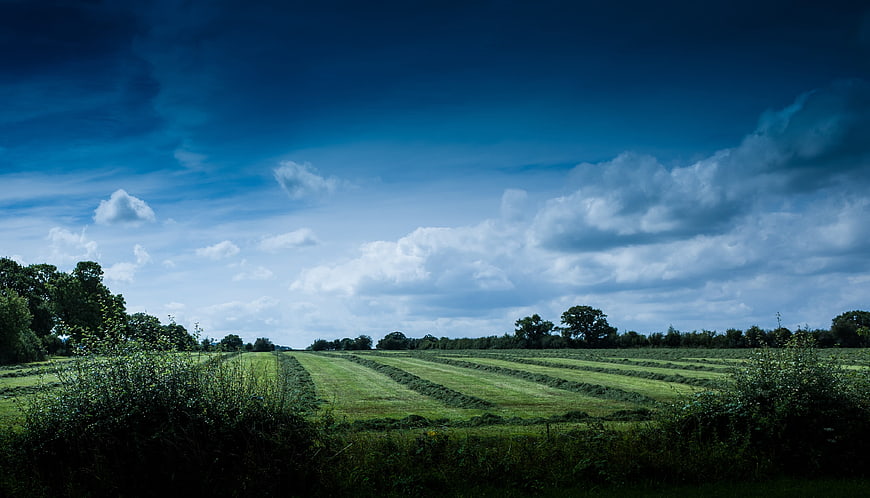 Wide Green Hayfield with Dramatic Blue Sky and Clouds