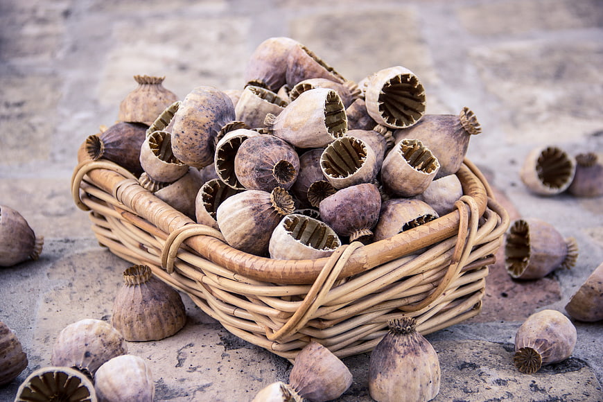 Dried Poppy Pods in Wicker Basket on Stone Surface